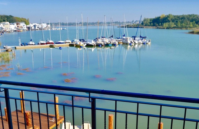 Disabled apartment on Lake Hainer at the gates of Leipzig