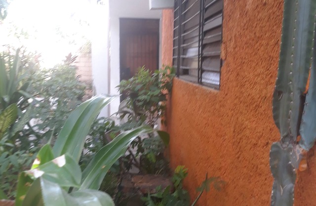Discover Haitian culture thtough House in the garden!Best place to stay for enjoying the Haitian visual art.