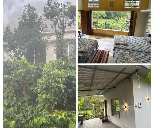 Doddakallu Betta Homestay Coorg