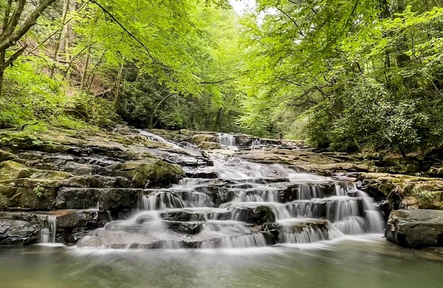 Dog-friendly cabin with direct access to public game lands, full kitchen, & W/D