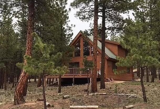 Dog Friendly, Cozy 3 Bdrm Cabin in the Woods