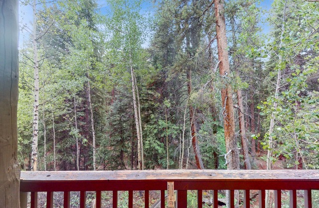 Dog-Friendly Keystone Condo w/Shared Pool & Hot Tub - Near River Run & Downtown