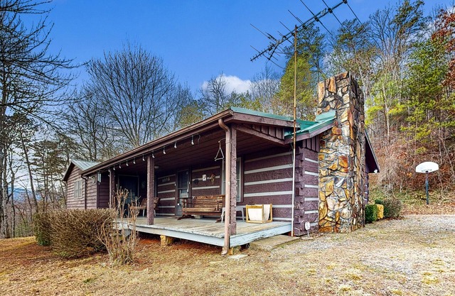 Dog-friendly, mountain view cabin w/WiFi, and private W/D
