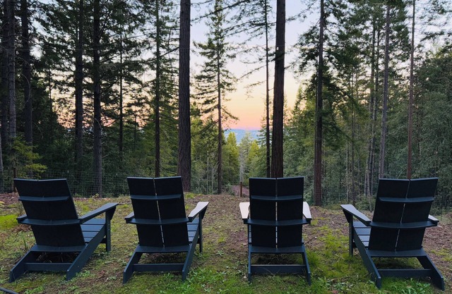 Dog-friendly Ridgetop Home - a retreat in Elk 15 minutes from Anderson Valley