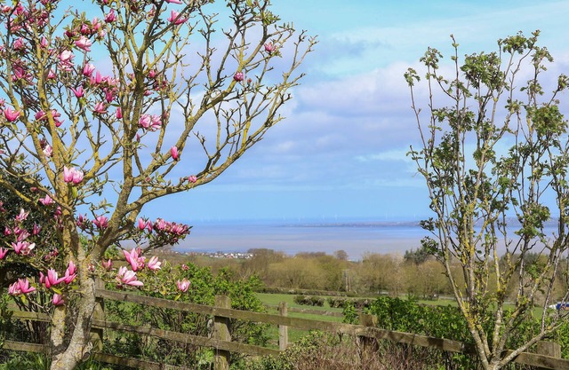 DOLPHIN BACH, pet friendly, character holiday cottage in Dolphin