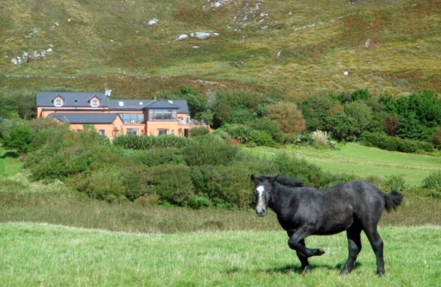 Dolphin Beach House - Close to the sea & town