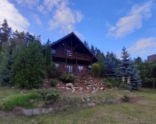 Dom Na Wzgórzu 479, The House on the hill