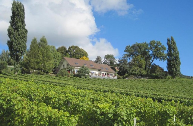 Domaine Beauregard