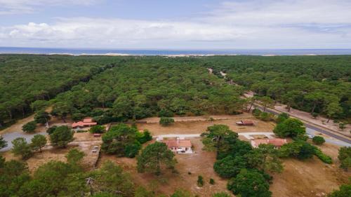 Domaine du Flamand - Gîtes du Pin Sec côté OCEAN