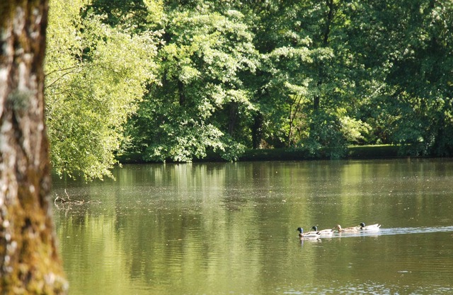Domaine du Grand Chêne