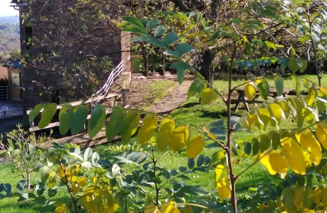 Domaine du Mas Naut