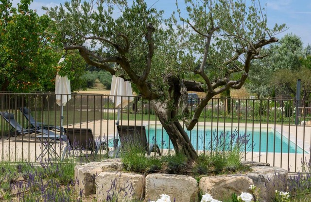 Domaine du Mas Foucray