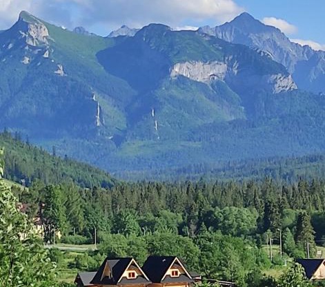 Domek drewniany w Jurgowie