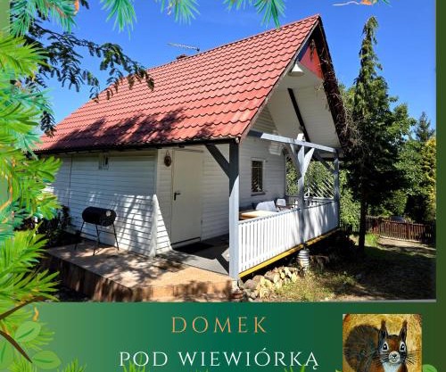 Domek pod Wiewiórką digital detox & balance