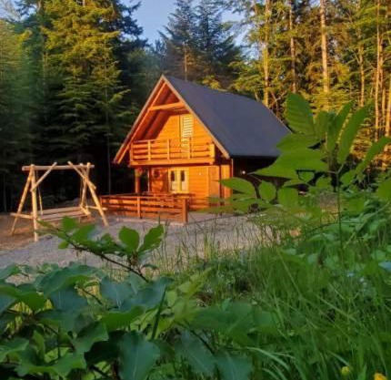Domek Polana Przyborów