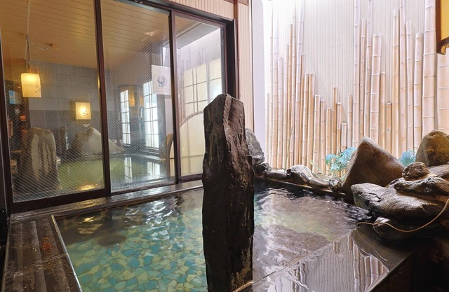 Dormy Inn Express Mikawa Anjo Natural Hot Spring
