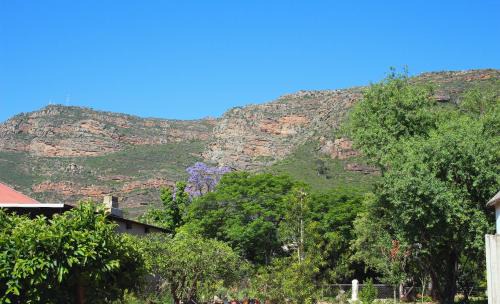 Dorpsplasie - Piketberg