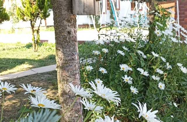 Doruk Garden Hotel Tokat