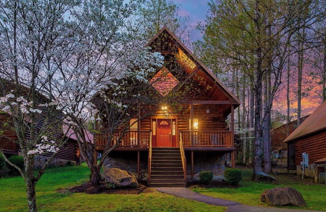 Dottie's Place by Beyond Expectations