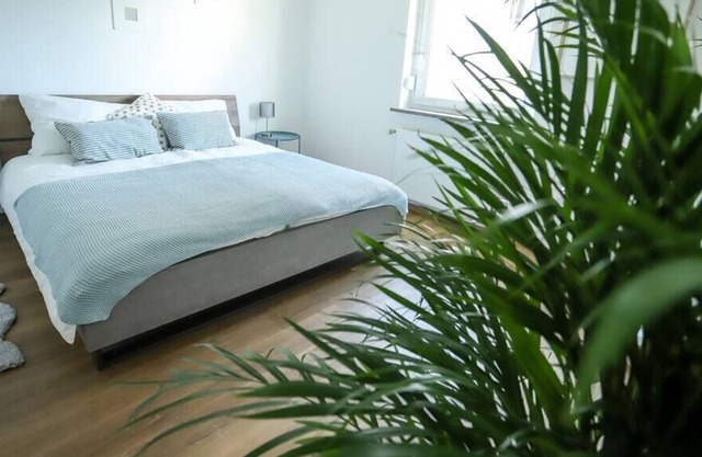 ☆ Double Apartment ☆ 3 King Beds|Kitchen|Parking