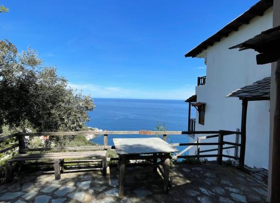 Double studio room with two single beds