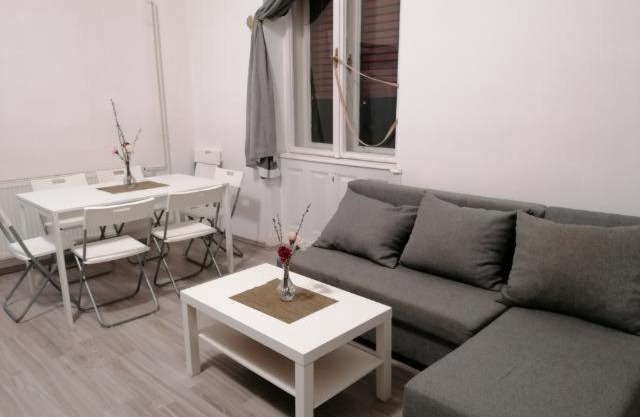 Downtown 4 Bedroom apartment with Balcony on Szell K street