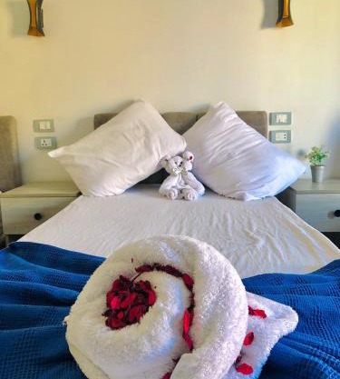 Downtown Cairo Park Plaza Hotel