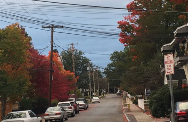 Downtown Westborough one bedroom condo with treetop views and private parking
