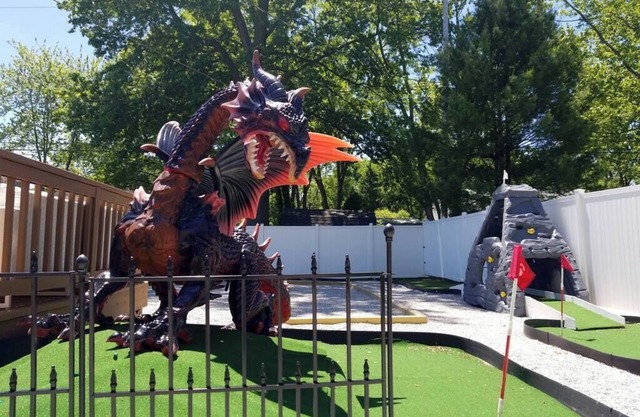 ★Dragon’s Lair★Private Home w/Arcade & Minigolf★