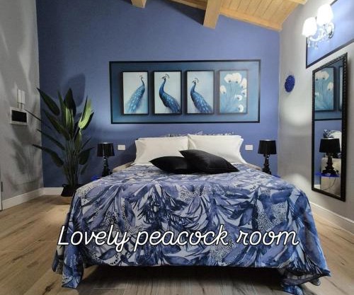 Dream Apartments alloggio turistico