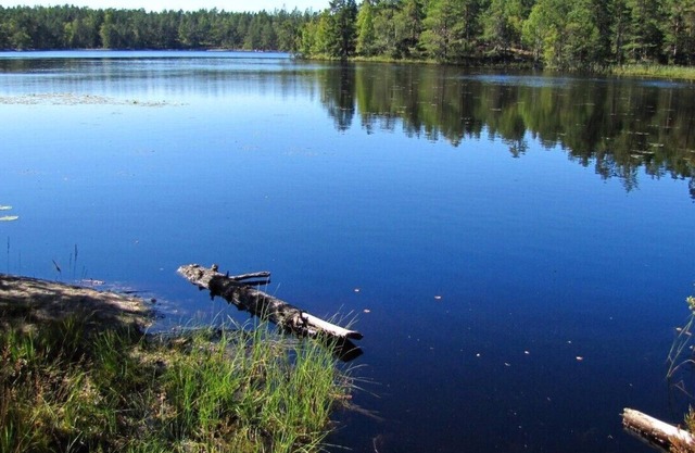 Dream house by the lake, 30 min by car-Stockholm's center, 100 m-nature reserve.