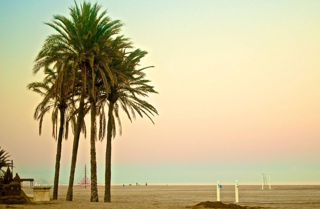 Dream House on the beach