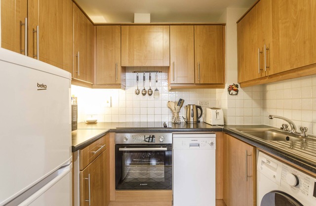 Dublin City at your fingertips - superb Professional's Apartment