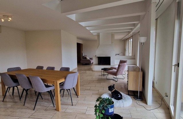 Duplex Apartment with Rooftop Sauna