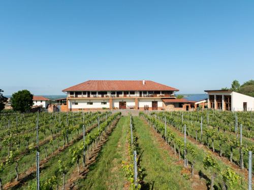 Ebner Pince - Panzió