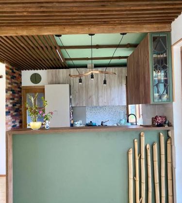 Eco Art House