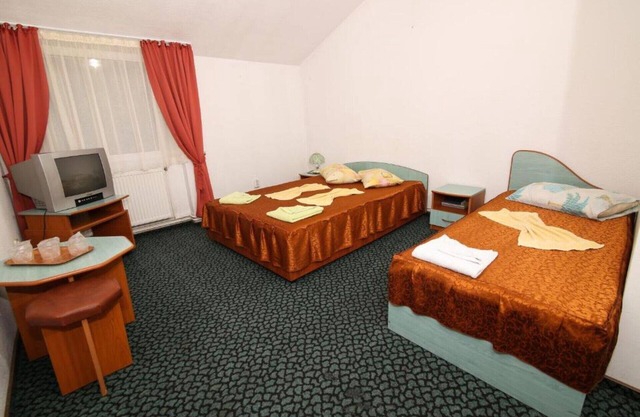 Economy Triple Room, Mountain View