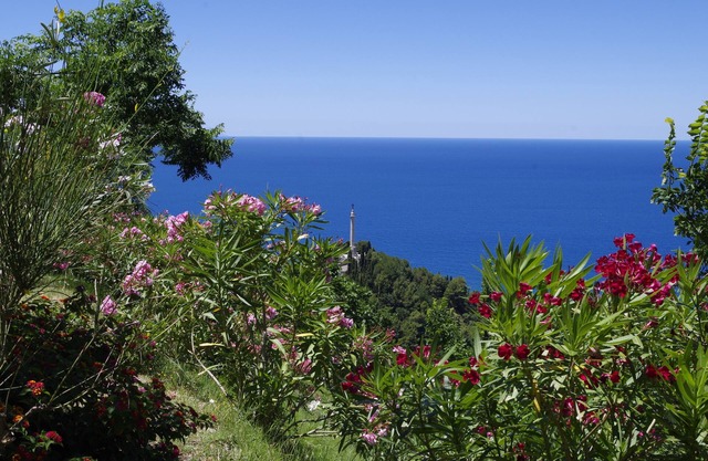 Ecotourism in the medieval village of Calabria, tradition and culture, sea and nature .