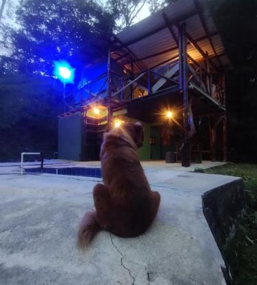 EL ALTO DE CISNEROS " para caminantes"