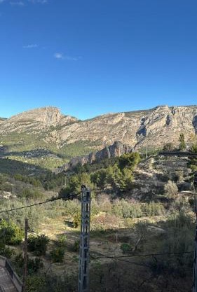 El Olivo