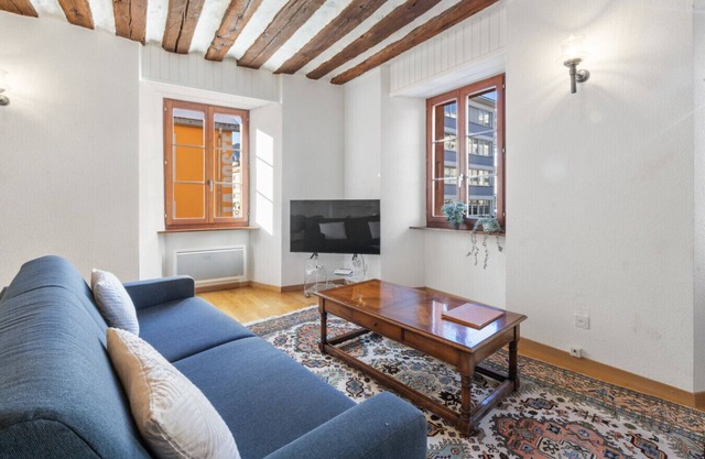 Elegant apartment in the Château des Vidomnes