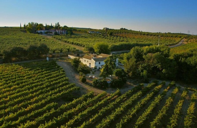 Elegant Villa in Montilla with Private Pool