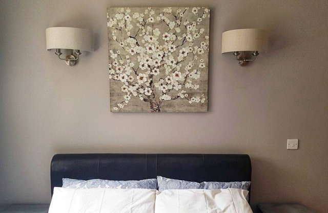 Elegantly Remodeled Suite in Historic Limerick City