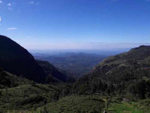 Ella Banana Rest Inn