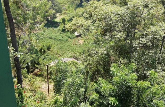 Ella Viyanga Homestay