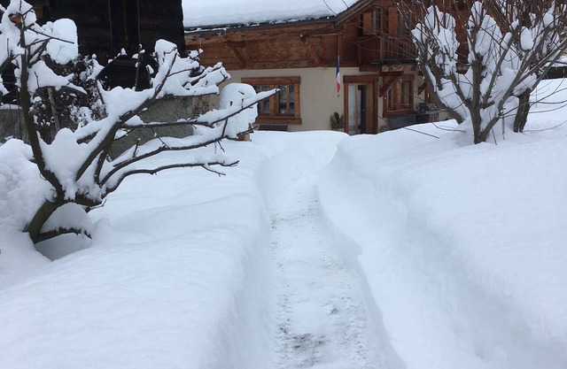 EN CHALET 4 P/JARDIN FACE CHAINE DU MONT-BLANC DUPLEX MANSARD 45M2 ⭐️ ⭐️⭐️⭐️⭐️