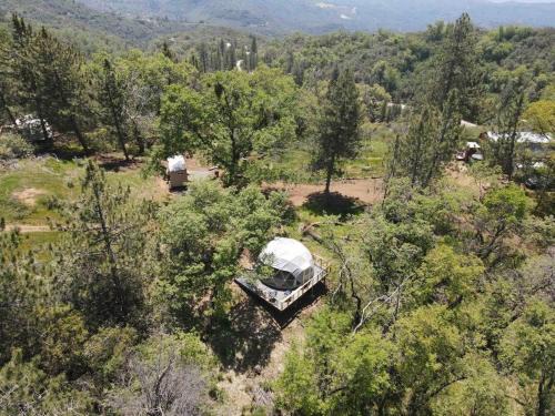Enchanted Forest Dome ,10-15 minutes to Kings Canyons-New pellet stove for cozy warm nights