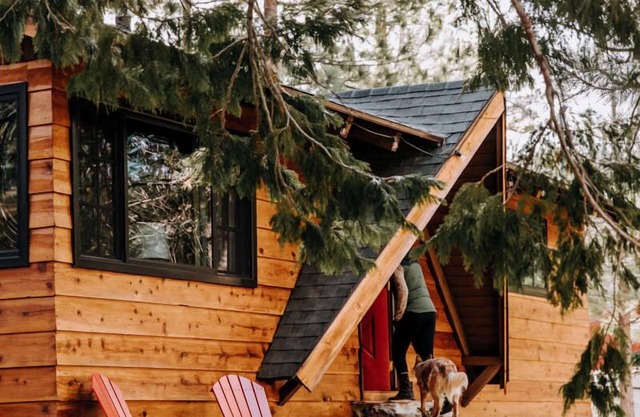 ENGELS NEST! Freshly Remodeled entire Cabin, Close to Trails, Fire pit, BBQ