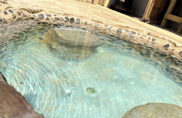 Enjoy a magical stay in glamping green view with a private jacuzzi.