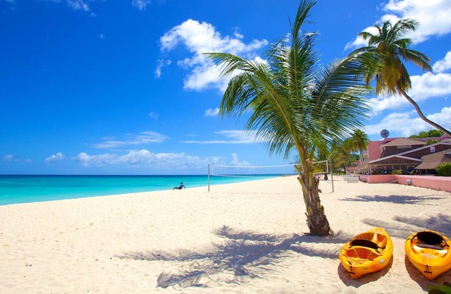 Enjoy Beautiful Ocean View! 4 Spacious Units w/Balcony! Close to Dover Beach!